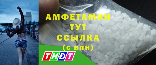 шишки Баксан