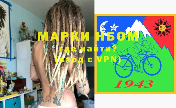 шишки Баксан
