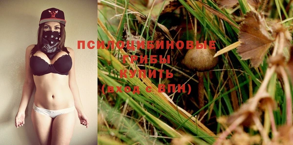 шишки Баксан