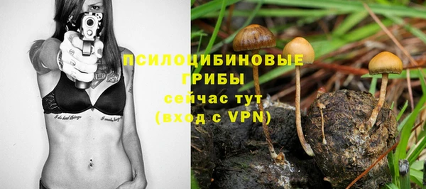 шишки Баксан