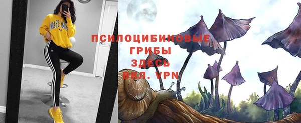 шишки Баксан