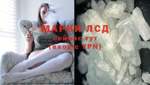 шишки Баксан
