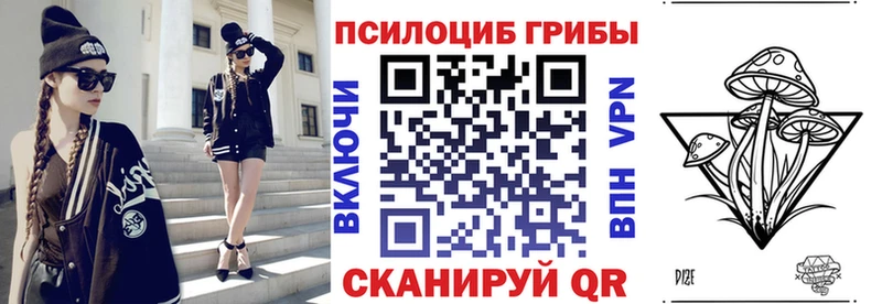 Псилоцибиновые грибы Psilocybe  Бирюсинск 